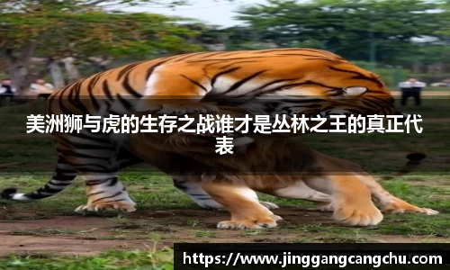 U8国际·(集团)有限公司官网